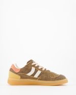 Coolway Goal Chestnut Sip